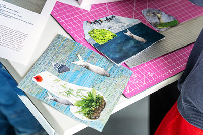 <p><a href="https://galleries.seirer-photography.com">seirer-photography</a><br />Artist Working on Photography Layouts with Maps and Design Materials</p><p><a href="https://galleries.seirer-photography.com/Clients/Foto-Arsenal-Wien/2025-03-21-Grand-Opening/i-VMn4xp5" title="Artist Working on Photography Layouts with Maps and Design Materials"><img src="https://galleries.seirer-photography.com/Clients/Foto-Arsenal-Wien/2025-03-21-Grand-Opening/i-VMn4xp5/0/KtjbGK3VF2F4mWsM6x8kwqrXFLNG7PFqFrbbgqzj9/Th/20250322_124648_foto_arsenal_eroeffnung_-Th.jpg" width="150" height="150" alt="Artist Working on Photography Layouts with Maps and Design Materials" title="Artist Working on Photography Layouts with Maps and Design Materials" style="border: 1px solid #000000;" /></a></p>