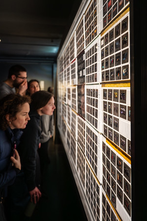 <p><a href="https://galleries.seirer-photography.com">seirer-photography</a><br />Gallery Visitors Studying Detailed Photographic Wall Display at Foto Arsenal Wien</p><p><a href="https://galleries.seirer-photography.com/Clients/Foto-Arsenal-Wien/2025-03-21-Grand-Opening/i-WPDJBBX" title="Gallery Visitors Studying Detailed Photographic Wall Display at Foto Arsenal Wien"><img src="https://galleries.seirer-photography.com/Clients/Foto-Arsenal-Wien/2025-03-21-Grand-Opening/i-WPDJBBX/0/Mrg3jz2rpXMz2DS2KD4rcVJxDz6Jbxz6st5BMqC2q/Th/20250321_200920_foto_arsenal_eroeffnung_-Th.jpg" width="150" height="150" alt="Gallery Visitors Studying Detailed Photographic Wall Display at Foto Arsenal Wien" title="Gallery Visitors Studying Detailed Photographic Wall Display at Foto Arsenal Wien" style="border: 1px solid #000000;" /></a></p>