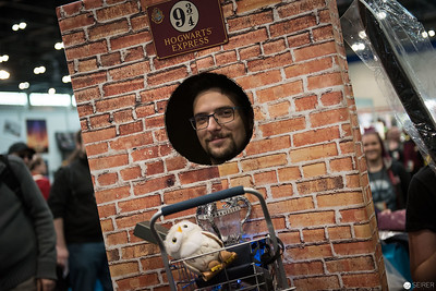 <p><a href="https://galleries.seirer-photography.com">seirer-photography</a><br />Harry Potter Fan Posing at Platform 9¾ Themed Photobooth During Convention</p><p><a href="https://galleries.seirer-photography.com/Events/2017/ViennaComicCon/Day-1/i-jxqnDRL" title="Harry Potter Fan Posing at Platform 9¾ Themed Photobooth During Convention"><img src="https://galleries.seirer-photography.com/Events/2017/ViennaComicCon/Day-1/i-jxqnDRL/0/K5j4bTFQNvQLW3Zs2TC6FsRJXhkNBST4WmGPBR2q9/Th/20171118_125651_vienna_comiccon_day1_79880-Th.jpg" width="150" height="150" alt="Harry Potter Fan Posing at Platform 9¾ Themed Photobooth During Convention" title="Harry Potter Fan Posing at Platform 9¾ Themed Photobooth During Convention" style="border: 1px solid #000000;" /></a></p>