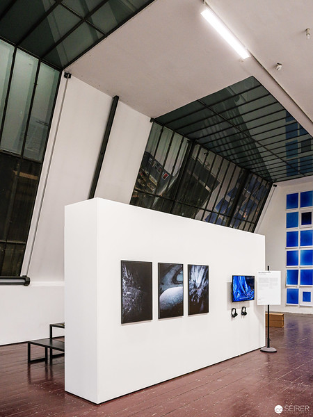 <p><a href="https://galleries.seirer-photography.com">seirer-photography</a><br />FOTO WIEN 2022 Exhibition View: White Gallery Wall with Blue-Toned Photographic Prints</p><p><a href="https://galleries.seirer-photography.com/Events/2022/2022-03-14-Foto-Wien/i-CqKhb46" title="FOTO WIEN 2022 Exhibition View: White Gallery Wall with Blue-Toned Photographic Prints"><img src="https://galleries.seirer-photography.com/Events/2022/2022-03-14-Foto-Wien/i-CqKhb46/0/K3LqxFFW8xKj4NzzkBfB4NjQ4qj9ZM9CGfqhfnWRW/Th/20220314-201917_foto_wien_-Th.jpg" width="150" height="150" alt="FOTO WIEN 2022 Exhibition View: White Gallery Wall with Blue-Toned Photographic Prints" title="FOTO WIEN 2022 Exhibition View: White Gallery Wall with Blue-Toned Photographic Prints" style="border: 1px solid #000000;" /></a></p>