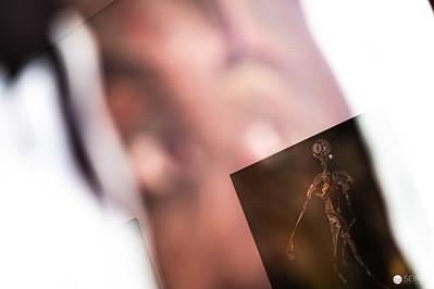 <p><a href="https://galleries.seirer-photography.com">seirer-photography</a><br />Sculptural Fragment in Blurred Exhibition View at Albertina Modern</p><p><a href="https://galleries.seirer-photography.com/Events/2024/2024-02-19-Albertina-Modern-The-Beauty-of-Diversity/i-6zRn5Ng" title="Sculptural Fragment in Blurred Exhibition View at Albertina Modern"><img src="https://galleries.seirer-photography.com/Events/2024/2024-02-19-Albertina-Modern-The-Beauty-of-Diversity/i-6zRn5Ng/0/M5qgBZ4Fdb3qHbk3VqwbqK4z4Rbv5tMNKdpXPQxs2/Th/20240219_194044_albertina_modern_the_beauty_of_diversity_8340-Th.jpg" width="150" height="150" alt="Sculptural Fragment in Blurred Exhibition View at Albertina Modern" title="Sculptural Fragment in Blurred Exhibition View at Albertina Modern" style="border: 1px solid #000000;" /></a></p>