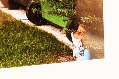 <p><a href="https://galleries.seirer-photography.com">seirer-photography</a><br />Child in Zebra-Striped Shirt Playing Near Green Car on Grass Path</p><p><a href="https://galleries.seirer-photography.com/Events/2024/2024-04-12-Ostlicht-Elliott-Erwitt/i-6bgGhpL" title="Child in Zebra-Striped Shirt Playing Near Green Car on Grass Path"><img src="https://galleries.seirer-photography.com/Events/2024/2024-04-12-Ostlicht-Elliott-Erwitt/i-6bgGhpL/0/LdbkDx3jCwhfPFpMJz4L6Qnm79kWxLWpq6Dh2M9vS/Th/20240412_142153_ostlicht-elliott-erwitt_7279-Th.jpg" width="150" height="150" alt="Child in Zebra-Striped Shirt Playing Near Green Car on Grass Path" title="Child in Zebra-Striped Shirt Playing Near Green Car on Grass Path" style="border: 1px solid #000000;" /></a></p>