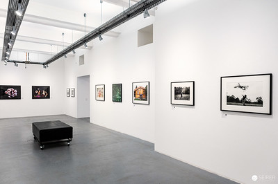 <p><a href="https://galleries.seirer-photography.com">seirer-photography</a><br />Elliott Erwitt Photography Exhibition Interior at Ostlicht Gallery, Vienna</p><p><a href="https://galleries.seirer-photography.com/Events/2024/2024-04-12-Ostlicht-Elliott-Erwitt/i-DMXWmm3" title="Elliott Erwitt Photography Exhibition Interior at Ostlicht Gallery, Vienna"><img src="https://galleries.seirer-photography.com/Events/2024/2024-04-12-Ostlicht-Elliott-Erwitt/i-DMXWmm3/0/KHGjqvzSbpz27TxpvRM4VbrvfqMCx5JJTvw3dvt6k/Th/20240412_142047_ostlicht-elliott-erwitt_7273-Th.jpg" width="150" height="150" alt="Elliott Erwitt Photography Exhibition Interior at Ostlicht Gallery, Vienna" title="Elliott Erwitt Photography Exhibition Interior at Ostlicht Gallery, Vienna" style="border: 1px solid #000000;" /></a></p>