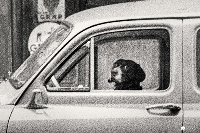 <p><a href="https://galleries.seirer-photography.com">seirer-photography</a><br />Elliott Erwitt Black and White Photograph of Dog in Car Window</p><p><a href="https://galleries.seirer-photography.com/Events/2024/2024-04-12-Ostlicht-Elliott-Erwitt/i-MD3ZRps" title="Elliott Erwitt Black and White Photograph of Dog in Car Window"><img src="https://galleries.seirer-photography.com/Events/2024/2024-04-12-Ostlicht-Elliott-Erwitt/i-MD3ZRps/0/Lk74gMjPzv3bqv7Gh6ckxZ9wCMnpFtxbwkb3FnmxB/Th/20240412_142434_ostlicht-elliott-erwitt_7294-Th.jpg" width="150" height="150" alt="Elliott Erwitt Black and White Photograph of Dog in Car Window" title="Elliott Erwitt Black and White Photograph of Dog in Car Window" style="border: 1px solid #000000;" /></a></p>