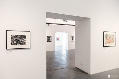 <p><a href="https://galleries.seirer-photography.com">seirer-photography</a><br />Gallery Interior with Black and White Photographs at Ostlicht Exhibition</p><p><a href="https://galleries.seirer-photography.com/Events/2024/2024-04-12-Ostlicht-Elliott-Erwitt/i-W65XGPg" title="Gallery Interior with Black and White Photographs at Ostlicht Exhibition"><img src="https://galleries.seirer-photography.com/Events/2024/2024-04-12-Ostlicht-Elliott-Erwitt/i-W65XGPg/0/NH6GCMqW2hXgjgvmxrRmdsJpT4NnRbMBD6DbhLfNp/Th/20240412_141748_ostlicht-elliott-erwitt_7262-Th.jpg" width="150" height="150" alt="Gallery Interior with Black and White Photographs at Ostlicht Exhibition" title="Gallery Interior with Black and White Photographs at Ostlicht Exhibition" style="border: 1px solid #000000;" /></a></p>