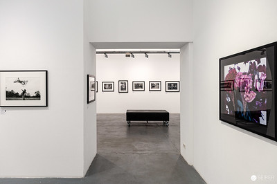 <p><a href="https://galleries.seirer-photography.com">seirer-photography</a><br />Gallery Interior View: Elliott Erwitt Exhibition at Ostlicht with Black and White and Color Works</p><p><a href="https://galleries.seirer-photography.com/Events/2024/2024-04-12-Ostlicht-Elliott-Erwitt/i-dgTjfGs" title="Gallery Interior View: Elliott Erwitt Exhibition at Ostlicht with Black and White and Color Works"><img src="https://galleries.seirer-photography.com/Events/2024/2024-04-12-Ostlicht-Elliott-Erwitt/i-dgTjfGs/0/Lq9h8KgcDrPPPW56GLQqCLg55n49MrDVgmCTndGMJ/Th/20240412_142038_ostlicht-elliott-erwitt_7270-Th.jpg" width="150" height="150" alt="Gallery Interior View: Elliott Erwitt Exhibition at Ostlicht with Black and White and Color Works" title="Gallery Interior View: Elliott Erwitt Exhibition at Ostlicht with Black and White and Color Works" style="border: 1px solid #000000;" /></a></p>