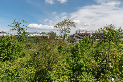 <p><a href="https://galleries.seirer-photography.com">seirer-photography</a><br />Urban Development Construction Site with Surrounding Green Buffer Zone</p><p><a href="https://galleries.seirer-photography.com/Events/2024/2024-04-25-Vienna-Design-Week-Preview/i-5BkN7DN" title="Urban Development Construction Site with Surrounding Green Buffer Zone"><img src="https://galleries.seirer-photography.com/Events/2024/2024-04-25-Vienna-Design-Week-Preview/i-5BkN7DN/0/MjKmbsWXmLbXQh2FF9N4xCw7QwjTZw56PtkvCjMMp/Th/20240425_113832_vdw_preview_by_michael_seirer_3778-Th.jpg" width="150" height="150" alt="Urban Development Construction Site with Surrounding Green Buffer Zone" title="Urban Development Construction Site with Surrounding Green Buffer Zone" style="border: 1px solid #000000;" /></a></p>