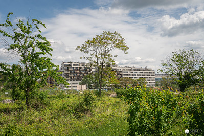 <p><a href="https://galleries.seirer-photography.com">seirer-photography</a><br />Modern Residential Development Surrounded by Overgrown Natural Landscape</p><p><a href="https://galleries.seirer-photography.com/Events/2024/2024-04-25-Vienna-Design-Week-Preview/i-7cfmhdB" title="Modern Residential Development Surrounded by Overgrown Natural Landscape"><img src="https://galleries.seirer-photography.com/Events/2024/2024-04-25-Vienna-Design-Week-Preview/i-7cfmhdB/0/MsMNMxHtWHvwVmSdNVSMCDZWdDFWGr4zN44kFp37h/Th/20240425_113758_vdw_preview_by_michael_seirer_3774-Th.jpg" width="150" height="150" alt="Modern Residential Development Surrounded by Overgrown Natural Landscape" title="Modern Residential Development Surrounded by Overgrown Natural Landscape" style="border: 1px solid #000000;" /></a></p>