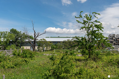 <p><a href="https://galleries.seirer-photography.com">seirer-photography</a><br />Overgrown Construction Site with Modern Building and Urban Development</p><p><a href="https://galleries.seirer-photography.com/Events/2024/2024-04-25-Vienna-Design-Week-Preview/i-MLjCmbK" title="Overgrown Construction Site with Modern Building and Urban Development"><img src="https://galleries.seirer-photography.com/Events/2024/2024-04-25-Vienna-Design-Week-Preview/i-MLjCmbK/0/MmLpPv7rZsVLLRQcQ93bHqPDwJT2kd9DMj6ZpMcLr/Th/20240425_113806_vdw_preview_by_michael_seirer_3776-Th.jpg" width="150" height="150" alt="Overgrown Construction Site with Modern Building and Urban Development" title="Overgrown Construction Site with Modern Building and Urban Development" style="border: 1px solid #000000;" /></a></p>