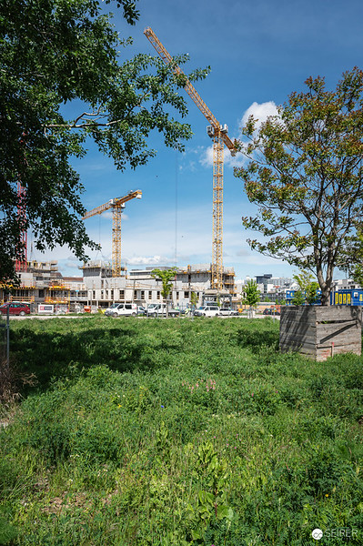 <p><a href="https://galleries.seirer-photography.com">seirer-photography</a><br />Urban Construction Site with Dual Cranes and Green Foreground</p><p><a href="https://galleries.seirer-photography.com/Events/2024/2024-04-25-Vienna-Design-Week-Preview/i-T8pRgL3" title="Urban Construction Site with Dual Cranes and Green Foreground"><img src="https://galleries.seirer-photography.com/Events/2024/2024-04-25-Vienna-Design-Week-Preview/i-T8pRgL3/0/NfLzVvJSB4DLPrsVXPn2TRrXR48p28Qpp8KpDJrcr/Th/20240425_113331_vdw_preview_by_michael_seirer_3746-Th.jpg" width="150" height="150" alt="Urban Construction Site with Dual Cranes and Green Foreground" title="Urban Construction Site with Dual Cranes and Green Foreground" style="border: 1px solid #000000;" /></a></p>