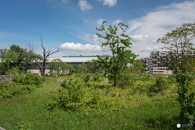 <p><a href="https://galleries.seirer-photography.com">seirer-photography</a><br />Overgrown Vacant Lot with Modern Apartment Building Under Construction</p><p><a href="https://galleries.seirer-photography.com/Events/2024/2024-04-25-Vienna-Design-Week-Preview/i-s6tttbJ" title="Overgrown Vacant Lot with Modern Apartment Building Under Construction"><img src="https://galleries.seirer-photography.com/Events/2024/2024-04-25-Vienna-Design-Week-Preview/i-s6tttbJ/0/NTJw4gbzs2HbKBw5zpVN69tXG7pCm58gdZCcDP8jd/Th/20240425_113740_vdw_preview_by_michael_seirer_3771-Th.jpg" width="150" height="150" alt="Overgrown Vacant Lot with Modern Apartment Building Under Construction" title="Overgrown Vacant Lot with Modern Apartment Building Under Construction" style="border: 1px solid #000000;" /></a></p>