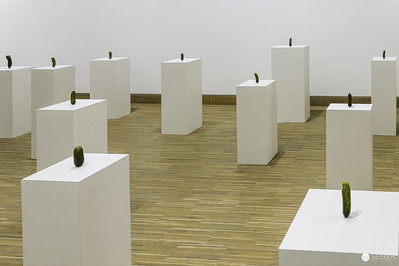 <p><a href="https://galleries.seirer-photography.com">seirer-photography</a><br />Erwin Wurm's Minimalist White Pedestals with Green Sculptural Objects</p><p><a href="https://galleries.seirer-photography.com/Events/2024/2024-09-16-Albertina-Modern-Erwin-Wurm/i-hn44qTv" title="Erwin Wurm's Minimalist White Pedestals with Green Sculptural Objects"><img src="https://galleries.seirer-photography.com/Events/2024/2024-09-16-Albertina-Modern-Erwin-Wurm/i-hn44qTv/0/KpgmXVgG8t6j6WRWn6mBN5TxWgcF72MjtxMnssjzj/Th/20240916_181145_albertina_modern_wurm_2-Th.jpg" width="150" height="150" alt="Erwin Wurm's Minimalist White Pedestals with Green Sculptural Objects" title="Erwin Wurm's Minimalist White Pedestals with Green Sculptural Objects" style="border: 1px solid #000000;" /></a></p>