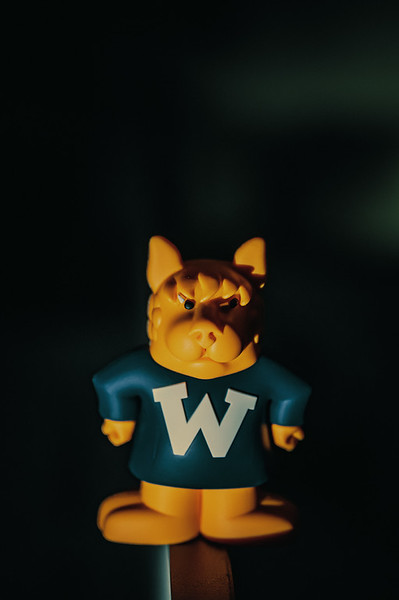 <p><a href="https://galleries.seirer-photography.com">seirer-photography</a><br />Webster University Mascot in Haunting Blue and Yellow Costume</p><p><a href="https://galleries.seirer-photography.com/Events/2024/2024-10-28-Webster-Haunted-University/i-4NTmdVN" title="Webster University Mascot in Haunting Blue and Yellow Costume"><img src="https://galleries.seirer-photography.com/Events/2024/2024-10-28-Webster-Haunted-University/i-4NTmdVN/0/Mg7M8BGZQBNvqhX5x4wKBP7kdCKnBQ6Bwm2Vc4DBK/Th/20241028_185159_webster_haunted_university_-Th.jpg" width="150" height="150" alt="Webster University Mascot in Haunting Blue and Yellow Costume" title="Webster University Mascot in Haunting Blue and Yellow Costume" style="border: 1px solid #000000;" /></a></p>