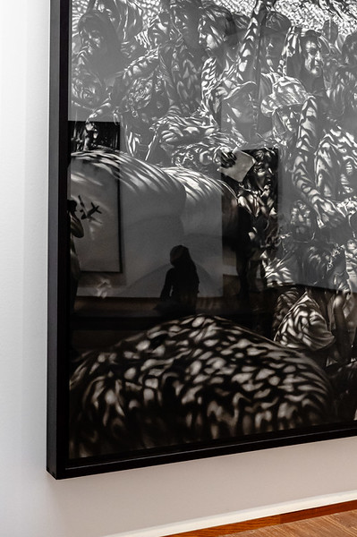 <p><a href="https://galleries.seirer-photography.com">seirer-photography</a><br />Shadowy Silhouette and Leaf-Patterned Shadows in Framed Gallery Exhibition</p><p><a href="https://galleries.seirer-photography.com/Events/2024/2024-11-05-Robert-Longo-At-Albertina/i-9qJhMVc" title="Shadowy Silhouette and Leaf-Patterned Shadows in Framed Gallery Exhibition"><img src="https://galleries.seirer-photography.com/Events/2024/2024-11-05-Robert-Longo-At-Albertina/i-9qJhMVc/0/MTwghtHZHBjhLZ97H5gmjNjpkZbmsR8QjfXHGx8wr/Th/20241105_194221_albertina_robert_longo_8955-Th.jpg" width="150" height="150" alt="Shadowy Silhouette and Leaf-Patterned Shadows in Framed Gallery Exhibition" title="Shadowy Silhouette and Leaf-Patterned Shadows in Framed Gallery Exhibition" style="border: 1px solid #000000;" /></a></p>