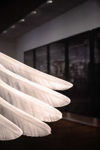 <p><a href="https://galleries.seirer-photography.com">seirer-photography</a><br />White Gloved Hands Preparing Gallery Display at Albertina Museum Exhibition</p><p><a href="https://galleries.seirer-photography.com/Events/2024/2024-11-05-Robert-Longo-At-Albertina/i-CpJjv9Q" title="White Gloved Hands Preparing Gallery Display at Albertina Museum Exhibition"><img src="https://galleries.seirer-photography.com/Events/2024/2024-11-05-Robert-Longo-At-Albertina/i-CpJjv9Q/0/Kxw3kJVbhKnTWT4jG6bkn7N26s2tssLfSJjS64qb3/Th/20241105_193750_albertina_robert_longo_8924-Th.jpg" width="150" height="150" alt="White Gloved Hands Preparing Gallery Display at Albertina Museum Exhibition" title="White Gloved Hands Preparing Gallery Display at Albertina Museum Exhibition" style="border: 1px solid #000000;" /></a></p>
