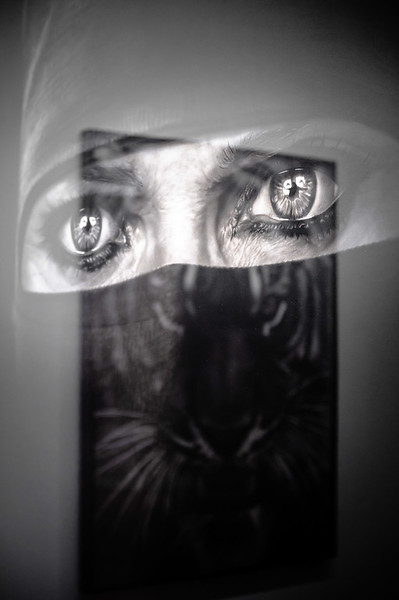 <p><a href="https://galleries.seirer-photography.com">seirer-photography</a><br />Intense Monochrome Portrait of Dual Fragmented Eyes and Shadowy Figure</p><p><a href="https://galleries.seirer-photography.com/Events/2024/2024-11-05-Robert-Longo-At-Albertina/i-Mtg2hj4" title="Intense Monochrome Portrait of Dual Fragmented Eyes and Shadowy Figure"><img src="https://galleries.seirer-photography.com/Events/2024/2024-11-05-Robert-Longo-At-Albertina/i-Mtg2hj4/0/LG2r7VHcfnSrfC8xVGrJzqXrnMHRdGZtG2w6D225S/Th/20241105_191451_albertina_robert_longo_8752-Th.jpg" width="150" height="150" alt="Intense Monochrome Portrait of Dual Fragmented Eyes and Shadowy Figure" title="Intense Monochrome Portrait of Dual Fragmented Eyes and Shadowy Figure" style="border: 1px solid #000000;" /></a></p>