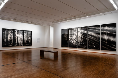 <p><a href="https://galleries.seirer-photography.com">seirer-photography</a><br />Robert Long Exhibition Views at Albertina Museum, Vienna - Black and White Landscapes</p><p><a href="https://galleries.seirer-photography.com/Events/2024/2024-11-05-Robert-Longo-At-Albertina/i-cRtkBkt" title="Robert Long Exhibition Views at Albertina Museum, Vienna - Black and White Landscapes"><img src="https://galleries.seirer-photography.com/Events/2024/2024-11-05-Robert-Longo-At-Albertina/i-cRtkBkt/0/MntzrpMM4xBvZMwsbzvHLK2hsMB5nzMVNLK7fkJ8f/Th/20241105_191521_albertina_robert_longo_8757-Th.jpg" width="150" height="150" alt="Robert Long Exhibition Views at Albertina Museum, Vienna - Black and White Landscapes" title="Robert Long Exhibition Views at Albertina Museum, Vienna - Black and White Landscapes" style="border: 1px solid #000000;" /></a></p>