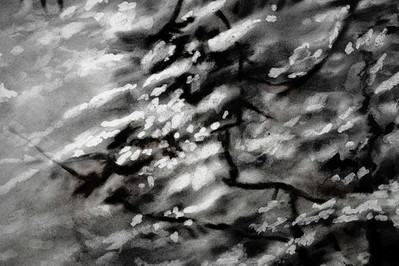 <p><a href="https://galleries.seirer-photography.com">seirer-photography</a><br />Abstract Black and White Nature Study with Organic Textural Patterns</p><p><a href="https://galleries.seirer-photography.com/Events/2024/2024-11-05-Robert-Longo-At-Albertina/i-kFcJbb2" title="Abstract Black and White Nature Study with Organic Textural Patterns"><img src="https://galleries.seirer-photography.com/Events/2024/2024-11-05-Robert-Longo-At-Albertina/i-kFcJbb2/0/LgKnqdQGZPrPBH3njhLZMxBqTKL75gCFK2GfDBQzN/Th/20241105_193838_albertina_robert_longo_8927-Th.jpg" width="150" height="150" alt="Abstract Black and White Nature Study with Organic Textural Patterns" title="Abstract Black and White Nature Study with Organic Textural Patterns" style="border: 1px solid #000000;" /></a></p>