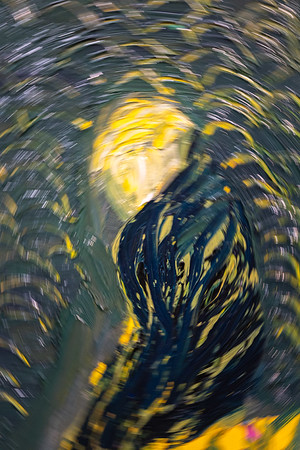 <p><a href="https://galleries.seirer-photography.com">seirer-photography</a><br />Blurred Motion Study from Van Gogh Exhibition at Albertina Museum</p><p><a href="https://galleries.seirer-photography.com/Events/2025/2025-02-18-Albertina-Wong-Van-Gogh/i-3bQBCXj" title="Blurred Motion Study from Van Gogh Exhibition at Albertina Museum"><img src="https://galleries.seirer-photography.com/Events/2025/2025-02-18-Albertina-Wong-Van-Gogh/i-3bQBCXj/2/Mv59Jxxg7WgJngpq5ks7wgWCSPCKGMrs8GM2W2LhS/Th/20250218-182815_albertina_wong_vangogh_8732-Th.jpg" width="150" height="150" alt="Blurred Motion Study from Van Gogh Exhibition at Albertina Museum" title="Blurred Motion Study from Van Gogh Exhibition at Albertina Museum" style="border: 1px solid #000000;" /></a></p>