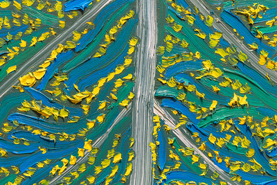 <p><a href="https://galleries.seirer-photography.com">seirer-photography</a><br />Van Gogh Exhibition at Albertina: Vibrant Yellow and Blue Abstract Painting Detail</p><p><a href="https://galleries.seirer-photography.com/Events/2025/2025-02-18-Albertina-Wong-Van-Gogh/i-FkxrXr9" title="Van Gogh Exhibition at Albertina: Vibrant Yellow and Blue Abstract Painting Detail"><img src="https://galleries.seirer-photography.com/Events/2025/2025-02-18-Albertina-Wong-Van-Gogh/i-FkxrXr9/2/LGzpgQR6gJghLLHTWRQpDpGGx2FxPzgVP7SpwDdbx/Th/20250218-181848_albertina_wong_vangogh_8656-Th.jpg" width="150" height="150" alt="Van Gogh Exhibition at Albertina: Vibrant Yellow and Blue Abstract Painting Detail" title="Van Gogh Exhibition at Albertina: Vibrant Yellow and Blue Abstract Painting Detail" style="border: 1px solid #000000;" /></a></p>