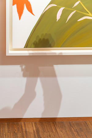 <p><a href="https://galleries.seirer-photography.com">seirer-photography</a><br />Exhibition Wong - Van Gogh at Albertina: Artwork Shadow Detail</p><p><a href="https://galleries.seirer-photography.com/Events/2025/2025-02-18-Albertina-Wong-Van-Gogh/i-zBdcLMB" title="Exhibition Wong - Van Gogh at Albertina: Artwork Shadow Detail"><img src="https://galleries.seirer-photography.com/Events/2025/2025-02-18-Albertina-Wong-Van-Gogh/i-zBdcLMB/2/LswJr3KbbXMKjGbxSHqXCXJmRD48KWgW923wGNGxp/Th/20250218-183640_albertina_wong_vangogh_9052-Th.jpg" width="150" height="150" alt="Exhibition Wong - Van Gogh at Albertina: Artwork Shadow Detail" title="Exhibition Wong - Van Gogh at Albertina: Artwork Shadow Detail" style="border: 1px solid #000000;" /></a></p>