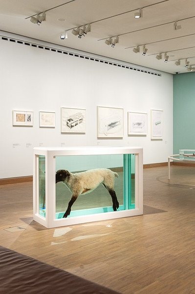 <p><a href="https://galleries.seirer-photography.com">seirer-photography</a><br />Contemporary Art Gallery Installation with Preserved Animal Specimen in Glass Tank</p><p><a href="https://galleries.seirer-photography.com/Events/2025/2025-05-19-Damien-Hirst-Drawings-Albertina-Modern/i-BfhND86" title="Contemporary Art Gallery Installation with Preserved Animal Specimen in Glass Tank"><img src="https://galleries.seirer-photography.com/Events/2025/2025-05-19-Damien-Hirst-Drawings-Albertina-Modern/i-BfhND86/0/M6khRVwTMKqKZSBsVWQX27DH7C6rVgHc42ZW5qMgR/Th/20250519_182615_albertina_hirst_8241-Th.jpg" width="150" height="150" alt="Contemporary Art Gallery Installation with Preserved Animal Specimen in Glass Tank" title="Contemporary Art Gallery Installation with Preserved Animal Specimen in Glass Tank" style="border: 1px solid #000000;" /></a></p>