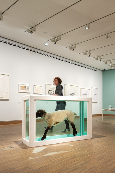 <p><a href="https://galleries.seirer-photography.com">seirer-photography</a><br />Contemporary Art Gallery Exhibit Featuring Preserved Animal Specimen in Glass Tank</p><p><a href="https://galleries.seirer-photography.com/Events/2025/2025-05-19-Damien-Hirst-Drawings-Albertina-Modern/i-Lg9RPzh" title="Contemporary Art Gallery Exhibit Featuring Preserved Animal Specimen in Glass Tank"><img src="https://galleries.seirer-photography.com/Events/2025/2025-05-19-Damien-Hirst-Drawings-Albertina-Modern/i-Lg9RPzh/0/KtLSBrgFrrBkhtv34tdcjBz7fdPXVQHMZGL3g7DSC/Th/20250519_183152_albertina_hirst_8292-Th.jpg" width="150" height="150" alt="Contemporary Art Gallery Exhibit Featuring Preserved Animal Specimen in Glass Tank" title="Contemporary Art Gallery Exhibit Featuring Preserved Animal Specimen in Glass Tank" style="border: 1px solid #000000;" /></a></p>