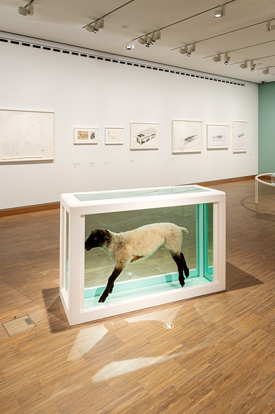 <p><a href="https://galleries.seirer-photography.com">seirer-photography</a><br />Taxidermied Lamb in Glass Display Case at Contemporary Art Gallery</p><p><a href="https://galleries.seirer-photography.com/Events/2025/2025-05-19-Damien-Hirst-Drawings-Albertina-Modern/i-V2LfSfc" title="Taxidermied Lamb in Glass Display Case at Contemporary Art Gallery"><img src="https://galleries.seirer-photography.com/Events/2025/2025-05-19-Damien-Hirst-Drawings-Albertina-Modern/i-V2LfSfc/0/LFDBtQCFTLC9prPQKwXx2nwhVrvKXKwZfG4pt4cDS/Th/20250519_190357_albertina_hirst_8654-Th.jpg" width="150" height="150" alt="Taxidermied Lamb in Glass Display Case at Contemporary Art Gallery" title="Taxidermied Lamb in Glass Display Case at Contemporary Art Gallery" style="border: 1px solid #000000;" /></a></p>
