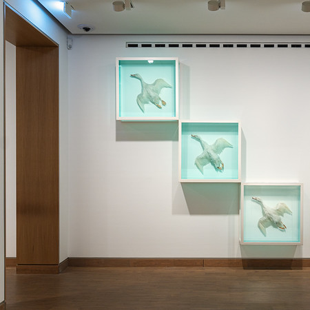 <p><a href="https://galleries.seirer-photography.com">seirer-photography</a><br />Teal-Framed Sea Turtle Artwork in Minimalist Gallery Setting</p><p><a href="https://galleries.seirer-photography.com/Events/2025/2025-05-19-Damien-Hirst-Drawings-Albertina-Modern/i-XHpgmvZ" title="Teal-Framed Sea Turtle Artwork in Minimalist Gallery Setting"><img src="https://galleries.seirer-photography.com/Events/2025/2025-05-19-Damien-Hirst-Drawings-Albertina-Modern/i-XHpgmvZ/0/Khb7fWnSztTGKxK8WBHt8w72z4hBHJnT5NJ2BNTXc/Th/20250519_183501_albertina_hirst_8343-Th.jpg" width="150" height="150" alt="Teal-Framed Sea Turtle Artwork in Minimalist Gallery Setting" title="Teal-Framed Sea Turtle Artwork in Minimalist Gallery Setting" style="border: 1px solid #000000;" /></a></p>
