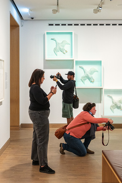 <p><a href="https://galleries.seirer-photography.com">seirer-photography</a><br />Museum Visitors Photographing Marine Animal Artwork in Gallery Exhibition</p><p><a href="https://galleries.seirer-photography.com/Events/2025/2025-05-19-Damien-Hirst-Drawings-Albertina-Modern/i-hWKfMF6" title="Museum Visitors Photographing Marine Animal Artwork in Gallery Exhibition"><img src="https://galleries.seirer-photography.com/Events/2025/2025-05-19-Damien-Hirst-Drawings-Albertina-Modern/i-hWKfMF6/0/M29xJcqPbhD9jQLGTpWWxx7MdwNDFmPtZQn2DFBwt/Th/20250519_182740_albertina_hirst_8254-Th.jpg" width="150" height="150" alt="Museum Visitors Photographing Marine Animal Artwork in Gallery Exhibition" title="Museum Visitors Photographing Marine Animal Artwork in Gallery Exhibition" style="border: 1px solid #000000;" /></a></p>