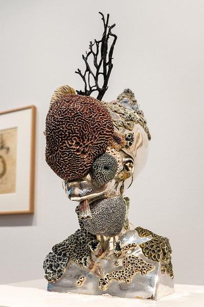 <p><a href="https://galleries.seirer-photography.com">seirer-photography</a><br />Intricate Ceramic Sculpture with Textured Organic Forms and Branching Structure</p><p><a href="https://galleries.seirer-photography.com/Events/2025/2025-05-19-Damien-Hirst-Drawings-Albertina-Modern/i-xNLW3Ww" title="Intricate Ceramic Sculpture with Textured Organic Forms and Branching Structure"><img src="https://galleries.seirer-photography.com/Events/2025/2025-05-19-Damien-Hirst-Drawings-Albertina-Modern/i-xNLW3Ww/0/MdgqtTJjb3gBc963D5NrJQKNqn7nBd3tTQQb9hZKJ/Th/20250519_182550_albertina_hirst_8232-Th.jpg" width="150" height="150" alt="Intricate Ceramic Sculpture with Textured Organic Forms and Branching Structure" title="Intricate Ceramic Sculpture with Textured Organic Forms and Branching Structure" style="border: 1px solid #000000;" /></a></p>