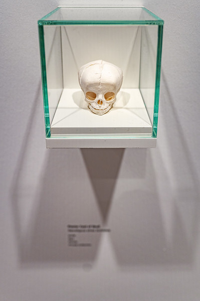 <p><a href="https://galleries.seirer-photography.com">seirer-photography</a><br />Anatomical Skull Specimen Displayed in Minimalist Glass Museum Case</p><p><a href="https://galleries.seirer-photography.com/Events/2025/2025-05-19-Damien-Hirst-Drawings-Albertina-Modern/i-xXrM4Zv" title="Anatomical Skull Specimen Displayed in Minimalist Glass Museum Case"><img src="https://galleries.seirer-photography.com/Events/2025/2025-05-19-Damien-Hirst-Drawings-Albertina-Modern/i-xXrM4Zv/0/KXWC3BM7TTZfk5Vq4dnVtmm2Kg8mnwpzvQnqqC94M/Th/20250519_183241_albertina_hirst_8309-Th.jpg" width="150" height="150" alt="Anatomical Skull Specimen Displayed in Minimalist Glass Museum Case" title="Anatomical Skull Specimen Displayed in Minimalist Glass Museum Case" style="border: 1px solid #000000;" /></a></p>
