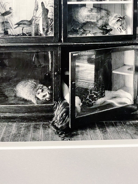 <p><a href="https://galleries.seirer-photography.com">seirer-photography</a><br />Multiple Views of Animals in Laboratory Cages: Black and White Archival Study</p><p><a href="https://galleries.seirer-photography.com/Events/2025/2025-06-25-Francesca-Woodman-Albertina/i-4td7HKw" title="Multiple Views of Animals in Laboratory Cages: Black and White Archival Study"><img src="https://galleries.seirer-photography.com/Events/2025/2025-06-25-Francesca-Woodman-Albertina/i-4td7HKw/0/LPv7XhWtgNcvtGcjnbBpn2HmG6vBgmQDLWtCcSxzv/Th/20250625_182002_albertina_francesca_woodman_9034-Th.jpg" width="150" height="150" alt="Multiple Views of Animals in Laboratory Cages: Black and White Archival Study" title="Multiple Views of Animals in Laboratory Cages: Black and White Archival Study" style="border: 1px solid #000000;" /></a></p>