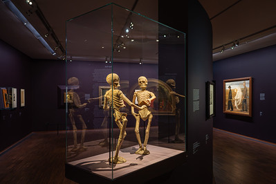 <p><a href="https://galleries.seirer-photography.com">seirer-photography</a><br />Human Skeletal Displays in Dark Museum Exhibition Gothic Modern</p><p><a href="https://galleries.seirer-photography.com/Events/2025/2025-10-14-Albertina-Gothic-Modern/i-2ns5tHN" title="Human Skeletal Displays in Dark Museum Exhibition Gothic Modern"><img src="https://galleries.seirer-photography.com/Events/2025/2025-10-14-Albertina-Gothic-Modern/i-2ns5tHN/0/NDvHT8vWM3b7m4hxVJSXFKwh4gsNMZPWtWsgD3gQr/Th/20251014-182844_albertina_gothic_modern_4390-Th.jpg" width="150" height="150" alt="Human Skeletal Displays in Dark Museum Exhibition Gothic Modern" title="Human Skeletal Displays in Dark Museum Exhibition Gothic Modern" style="border: 1px solid #000000;" /></a></p>