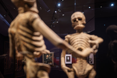 <p><a href="https://galleries.seirer-photography.com">seirer-photography</a><br />Gothic Modern Exhibition at Albertina: Skeletal Figures and Photographic Portraits</p><p><a href="https://galleries.seirer-photography.com/Events/2025/2025-10-14-Albertina-Gothic-Modern/i-hWj3SvF" title="Gothic Modern Exhibition at Albertina: Skeletal Figures and Photographic Portraits"><img src="https://galleries.seirer-photography.com/Events/2025/2025-10-14-Albertina-Gothic-Modern/i-hWj3SvF/0/MtF55MKSpPWCH3fkVF2cphdGDkd9Kq3QkB8vmwRQM/Th/20251014-182935_albertina_gothic_modern_4404-Th.jpg" width="150" height="150" alt="Gothic Modern Exhibition at Albertina: Skeletal Figures and Photographic Portraits" title="Gothic Modern Exhibition at Albertina: Skeletal Figures and Photographic Portraits" style="border: 1px solid #000000;" /></a></p>