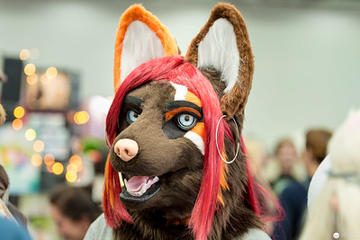 <p><a href="https://galleries.seirer-photography.com">seirer-photography</a><br />Furry Cosplay Character with Red Hair at Vienna ComicCon 2016</p><p><a href="https://galleries.seirer-photography.com/Events/ViennaComicCon2016/20161119-Vienna-ComicCon/i-sSGKkR9" title="Furry Cosplay Character with Red Hair at Vienna ComicCon 2016"><img src="https://galleries.seirer-photography.com/Events/ViennaComicCon2016/20161119-Vienna-ComicCon/i-sSGKkR9/0/KVbbfwnxhgCnKbQPrPxtZrqwN3nXWpFdnDdGZmpxt/Th/20161119_121758_viecc_1889-Th.jpg" width="150" height="150" alt="Furry Cosplay Character with Red Hair at Vienna ComicCon 2016" title="Furry Cosplay Character with Red Hair at Vienna ComicCon 2016" style="border: 1px solid #000000;" /></a></p>